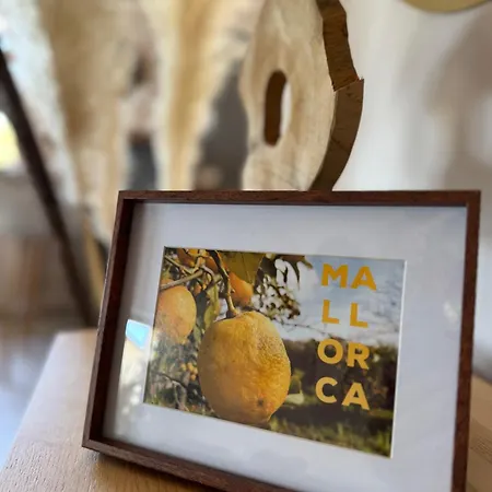 Casa Nova 巴尔奇克