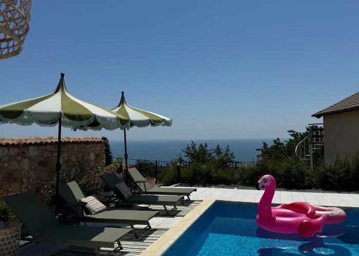 Casa Nova * Bałczik