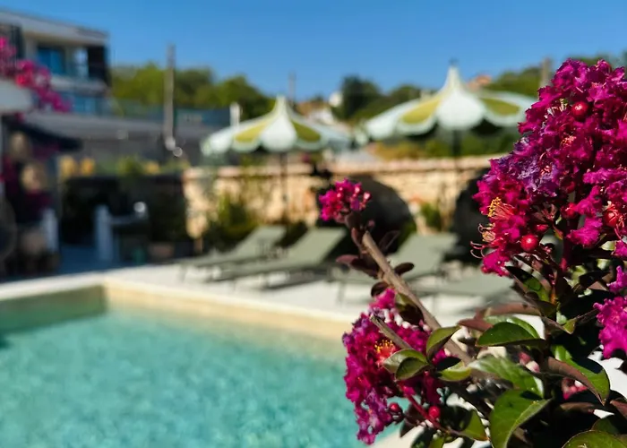 Casa Nova * Bałczik